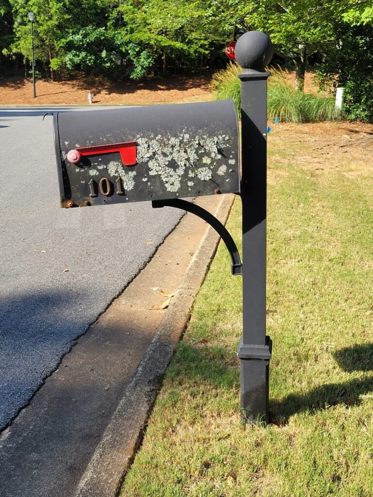 Photo of a leaning and moldy mailbox.